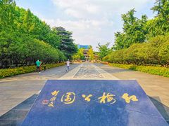 -红梅公园