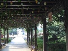 -白马涧龙池景区