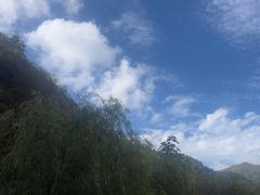 -牛背梁国家森林公园
