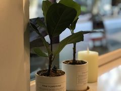 -倦勤咖啡(中山南路店)