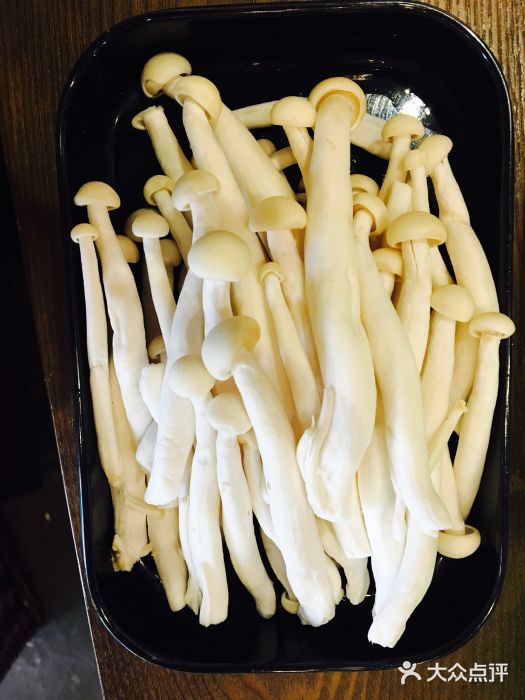 甩捞重庆老火锅海鲜菇图片