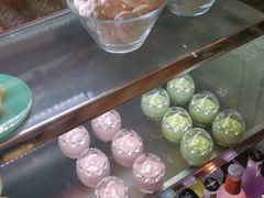 -猫咪博物馆(顶澳仔猫街店)