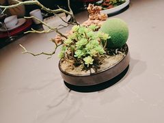 -顺风123(观音桥大融城店)
