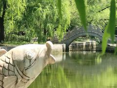 -黑龙江省森林植物园