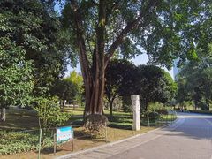 -龙头寺公园