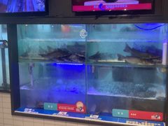 -鱼酷活鱼烤鱼(南京水游城店)