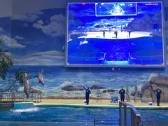 -福州罗源湾海洋世界旅游区