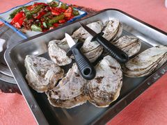 原只蒸海島鮮蠔-龙坛美食店