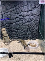 -未来动物城动物主题公园(大悦城店)