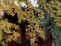 -香山公园