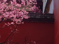 -乌山风景区