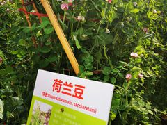 -天河儿童公园