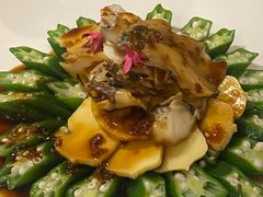 -皇朝尊会(龙之梦大酒店)