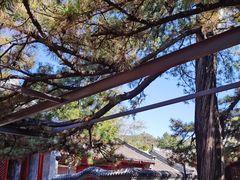 -红螺寺