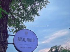 -望湖烤鱼