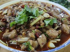 -潼南太安名鱼•特色江湖菜 太安鱼