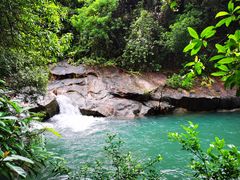 -广州白江湖森林公园