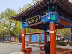 -莲花池公园