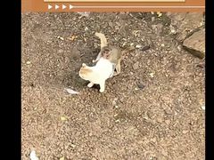 -昆明动物园