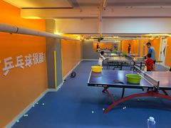 -搏鸣乒乓球俱乐部(万柳店)