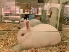 -龙猫仔乐园(惠福东路店)