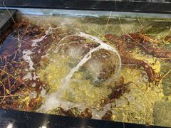 -海九澎湖海鲜餐厅