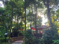 -二荆条·蜀鲜汇城市森林火锅