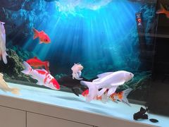 -海底捞火锅(亲贤北街店)