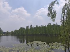 -白鹭湾湿地公园