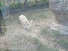 -灵玲国际马戏城