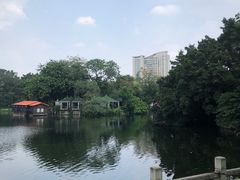 -荔湾湖公园