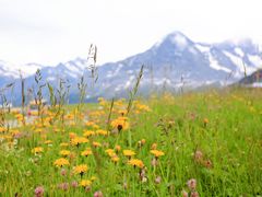 -Wengen Mannlichen Aerial Cableway