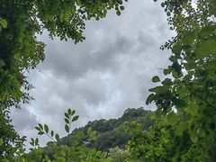 -青峰峡国家森林公园