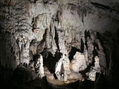-波斯托伊纳溶洞