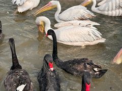 -水上乐园·欢乐世界