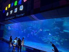 -泉城欧乐堡海洋极地世界