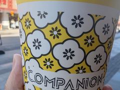 -COMPANION COFFEE小伴咖啡