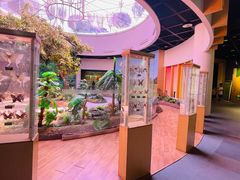 -陕西自然博物馆