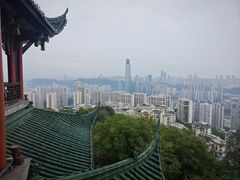 -张干馏(保利江上明珠2期店)