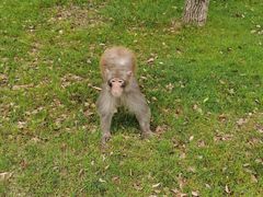 -苏州环秀晓筑养生度假村