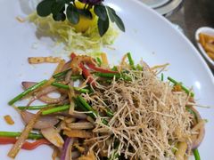 -港升鱼师傅·中山脆肉鲩