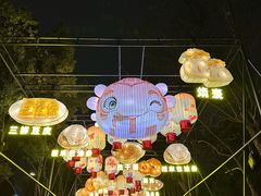 -武汉园博园(武汉自然博物馆)