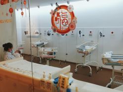 -海豚湾高端月子会所(黄浦店)