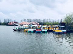 -上海长兴岛郊野公园