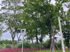 -白鹭湾湿地公园