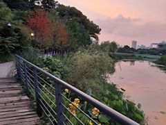 -月湖风景区