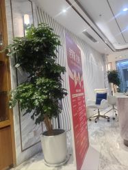 点击看大图 -上海华美医疗美容医院