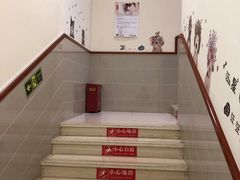 -瑞鹏宠物医院·骨外科·心肾科·肿瘤科(九亭店)