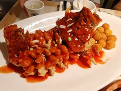 -吴越荣记苏州菜·松鼠桂鱼100%活鱼现做(月光码头店)