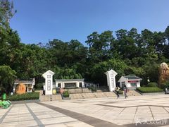 -罗三妹山